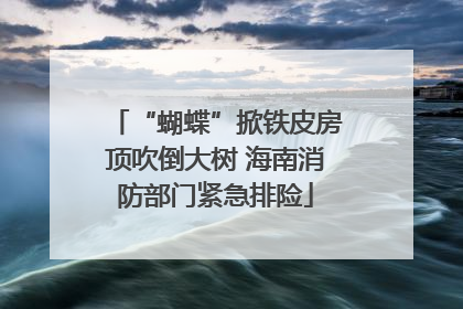 “蝴蝶”掀铁皮房顶吹倒大树 海南消防部门紧急排险