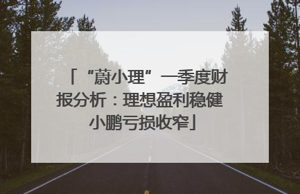 “蔚小理”一季度财报分析：理想盈利稳健 小鹏亏损收窄