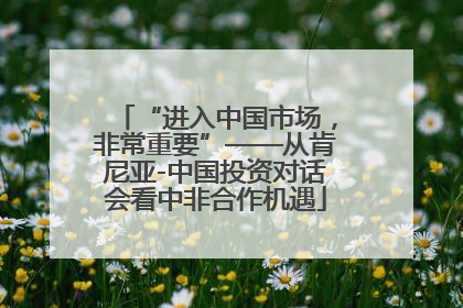 “进入中国市场，非常重要”——从肯尼亚-中国投资对话会看中非合作机遇