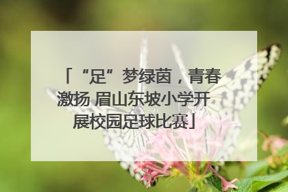 “足”梦绿茵，青春激扬 眉山东坡小学开展校园足球比赛
