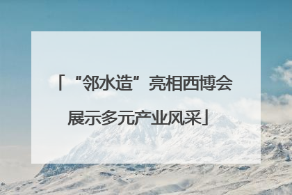 “邻水造”亮相西博会 展示多元产业风采
