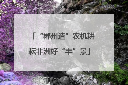 “郴州造”农机耕耘非洲好“丰”景