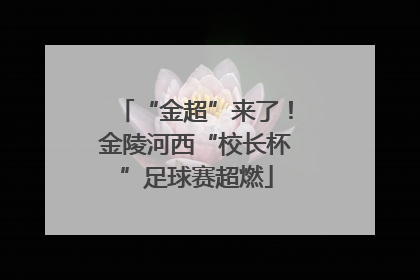 “金超”来了！金陵河西“校长杯”足球赛超燃