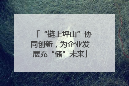 “链上坪山”协同创新，为企业发展充“储”未来