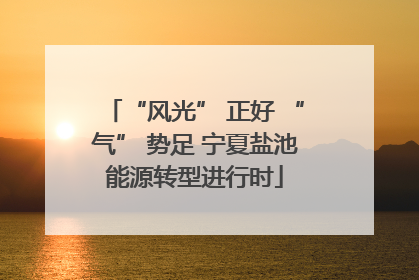 “风光” 正好 “气” 势足 宁夏盐池能源转型进行时