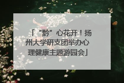 “黔”心花开！扬州大学研支团举办心理健康主题游园会