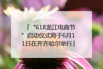 “618龙江电商节”启动仪式将于6月11日在齐齐哈尔举行
