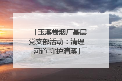 玉溪卷烟厂基层党支部活动：清理河道 守护清溪