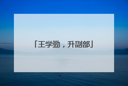 王学勤，升副部