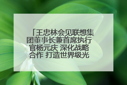 王忠林会见联想集团董事长兼首席执行官杨元庆 深化战略合作 打造世界级光电子信息产业集群