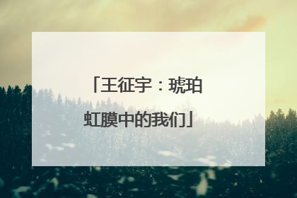 王征宇：琥珀虹膜中的我们