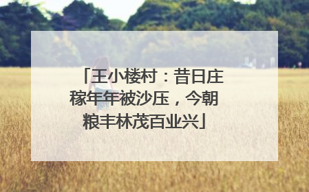王小楼村：昔日庄稼年年被沙压，今朝粮丰林茂百业兴