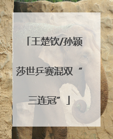王楚钦/孙颖莎世乒赛混双“三连冠”