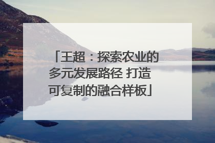 王超：探索农业的多元发展路径 打造可复制的融合样板