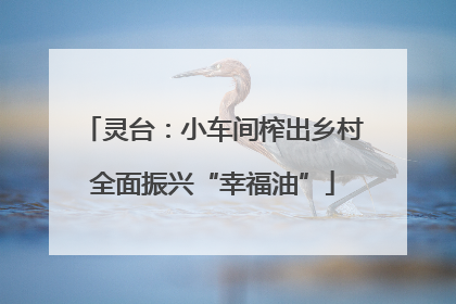 灵台：小车间榨出乡村全面振兴“幸福油”