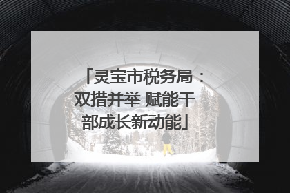 灵宝市税务局：双措并举 赋能干部成长新动能