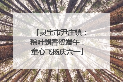 灵宝市尹庄镇：粽叶飘香贺端午，童心飞扬庆六一