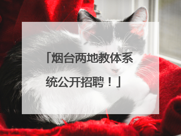 烟台两地教体系统公开招聘！
