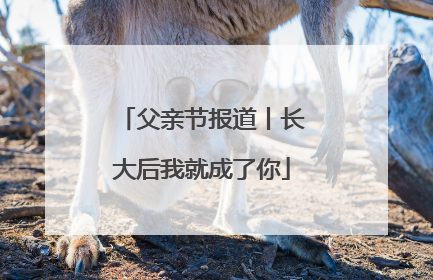 父亲节报道丨长大后我就成了你