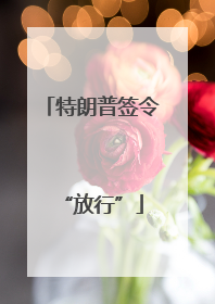特朗普签令“放行”
