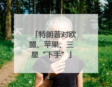 特朗普对欧盟、苹果、三星“下手”