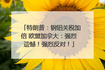 特朗普：钢铝关税加倍 欧盟加拿大：强烈遗憾！强烈反对！