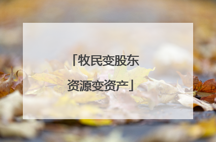 牧民变股东 资源变资产