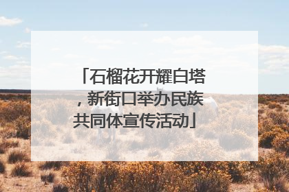 石榴花开耀白塔，新街口举办民族共同体宣传活动