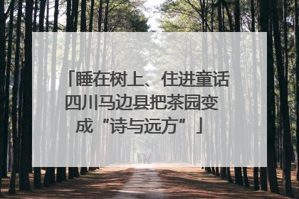 睡在树上、住进童话 四川马边县把茶园变成“诗与远方”