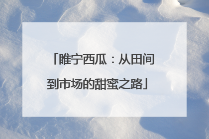 睢宁西瓜：从田间到市场的甜蜜之路