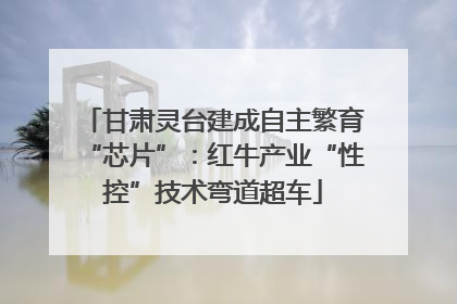 甘肃灵台建成自主繁育“芯片”：红牛产业“性控”技术弯道超车