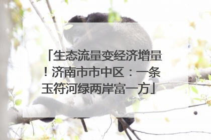 生态流量变经济增量！济南市市中区：一条玉符河绿两岸富一方