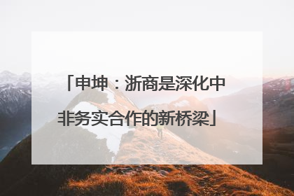 申坤：浙商是深化中非务实合作的新桥梁