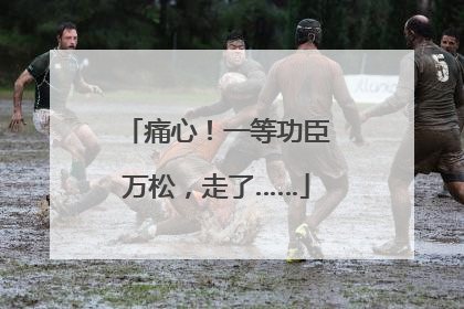 痛心！一等功臣万松，走了……