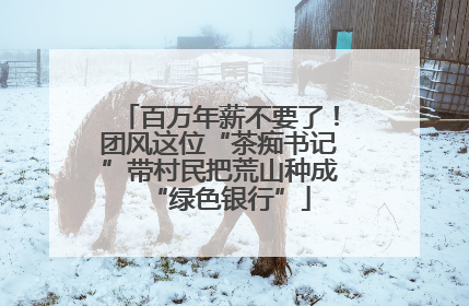 百万年薪不要了！团风这位“茶痴书记”带村民把荒山种成“绿色银行”