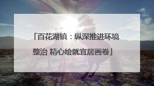 百花湖镇：纵深推进环境整治 精心绘就宜居画卷