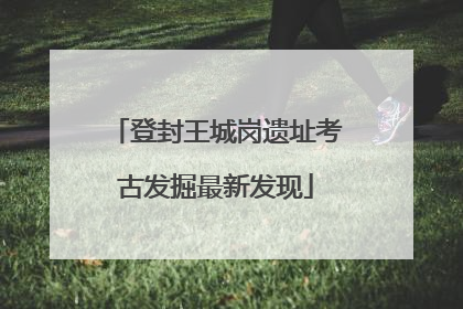 登封王城岗遗址考古发掘最新发现
