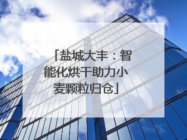 盐城大丰：智能化烘干助力小麦颗粒归仓