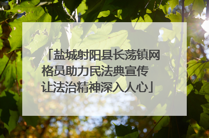盐城射阳县长荡镇网格员助力民法典宣传 让法治精神深入人心