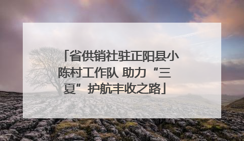 省供销社驻正阳县小陈村工作队 助力“三夏”护航丰收之路
