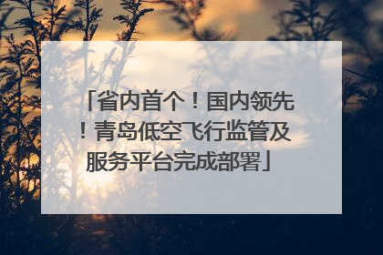 省内首个！国内领先！青岛低空飞行监管及服务平台完成部署