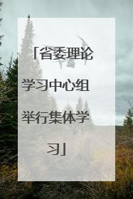 省委理论学习中心组举行集体学习