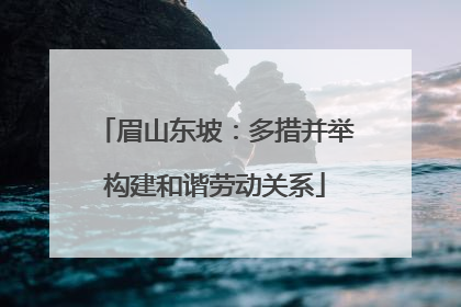 眉山东坡：多措并举构建和谐劳动关系