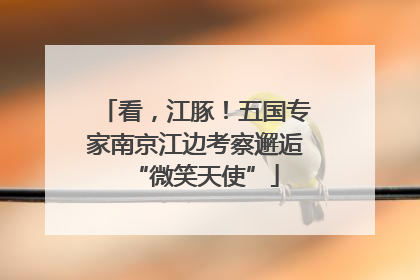 看，江豚！五国专家南京江边考察邂逅“微笑天使”
