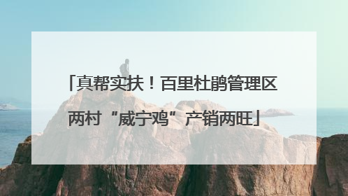 真帮实扶！百里杜鹃管理区两村“威宁鸡”产销两旺