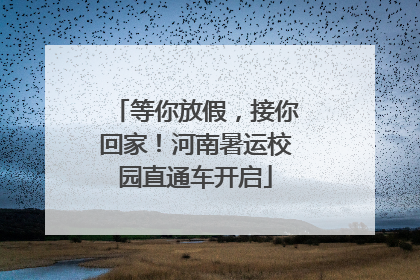 等你放假，接你回家！河南暑运校园直通车开启