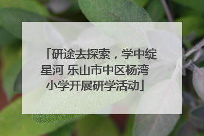 研途去探索，学中绽星河 乐山市中区杨湾小学开展研学活动