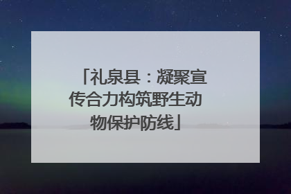 礼泉县：凝聚宣传合力构筑野生动物保护防线