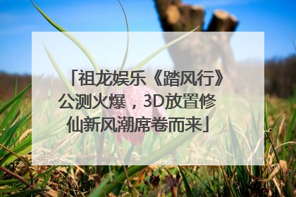 祖龙娱乐《踏风行》公测火爆，3D放置修仙新风潮席卷而来