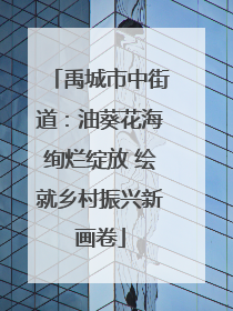 禹城市中街道：油葵花海绚烂绽放 绘就乡村振兴新画卷